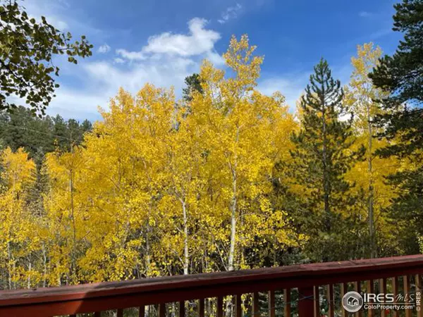 Nederland, CO 80466,146 Hummer Dr