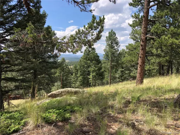 Florissant, CO 80816,135 Junction Cir