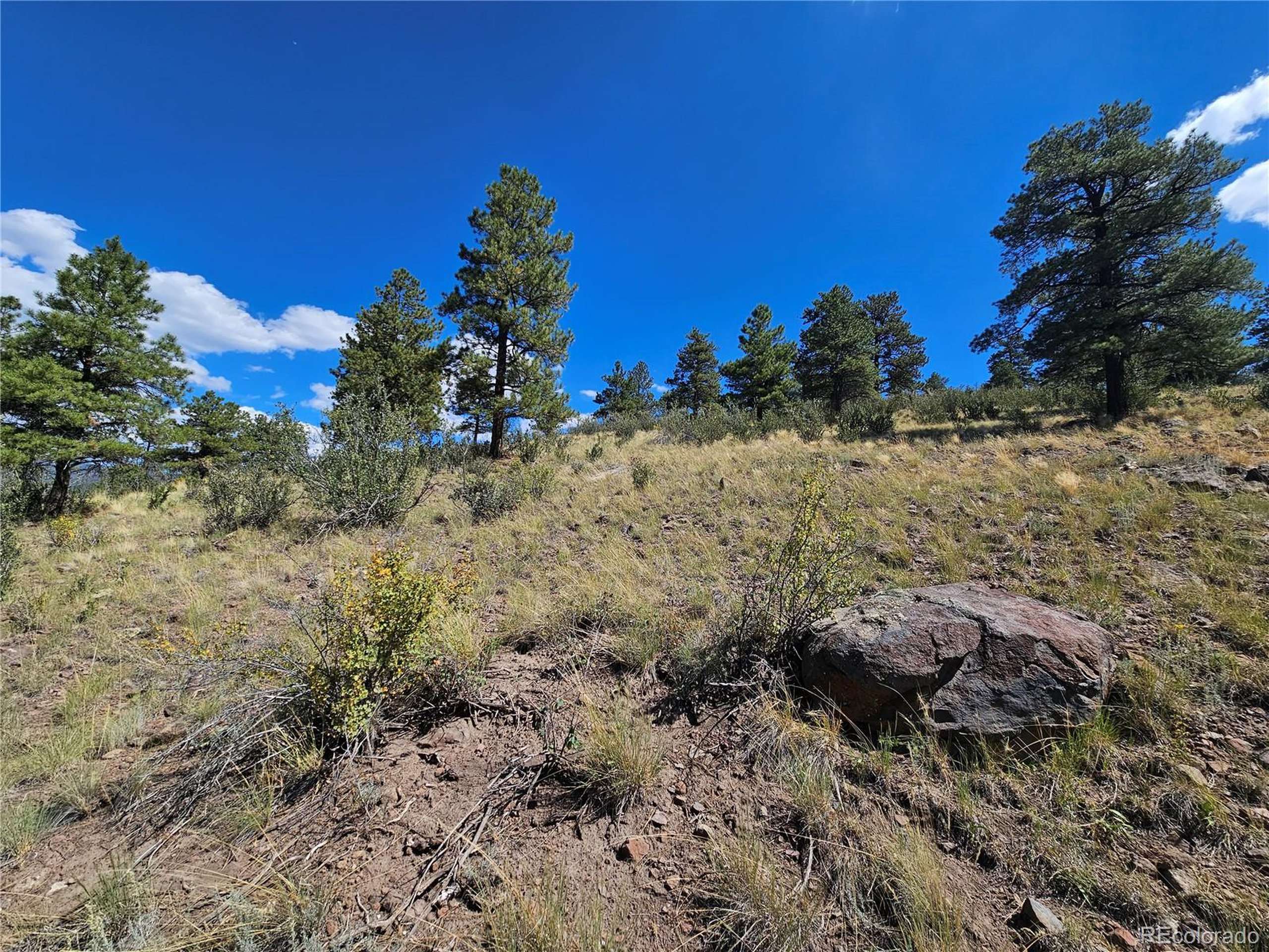 South Fork, CO 81154,358 Escondida Dr