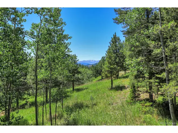 2 Hughesville Road, Black Hawk, CO 80422