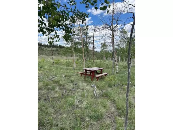 Hartsel, CO 80449,807 Bolster Dr