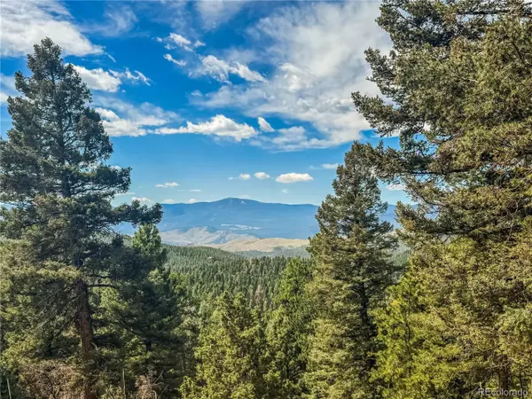 Conifer, CO 80433,12853 S Wamblee Valley Rd