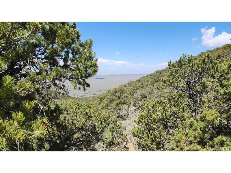 5039 Mamouche Rd, Fort Garland, CO 81133
