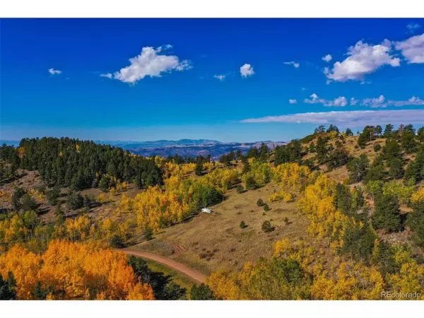 230 Penrose Cir, Cripple Creek, CO 80813