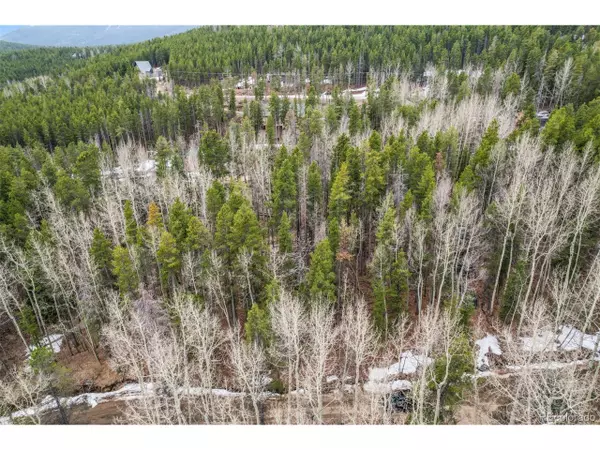Evergreen, CO 80439,Ute Trl