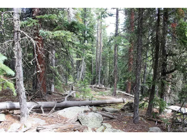 Idaho Springs, CO 80452,0 Hidden Wilderness Rd