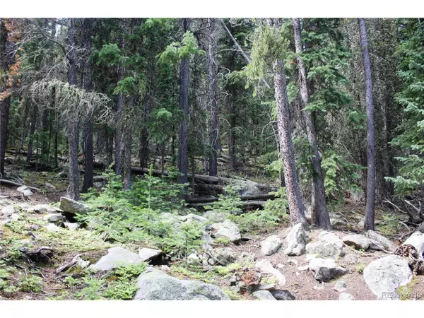 Idaho Springs, CO 80452,0 Hidden Wilderness Rd