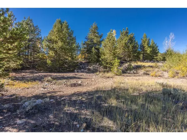 TBD, Leadville, CO 80461