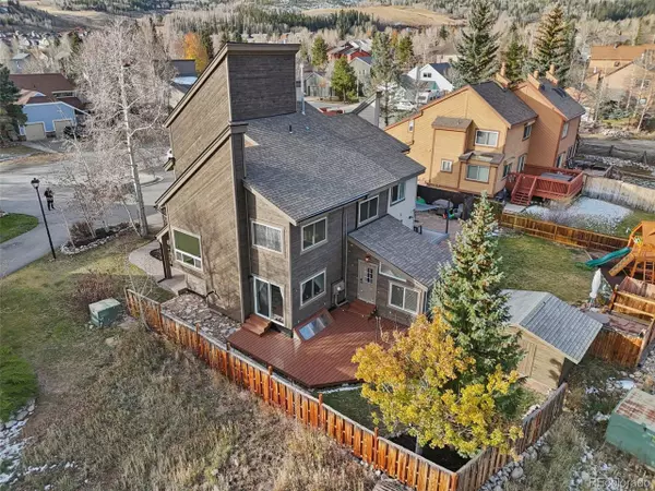 110 Badger Ct, Silverthorne, CO 80498