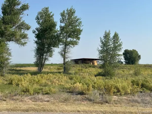 Alamosa, CO 81101,979 County Road 8 South