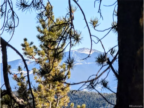 Idaho Springs, CO 80453,677 Alice Rd