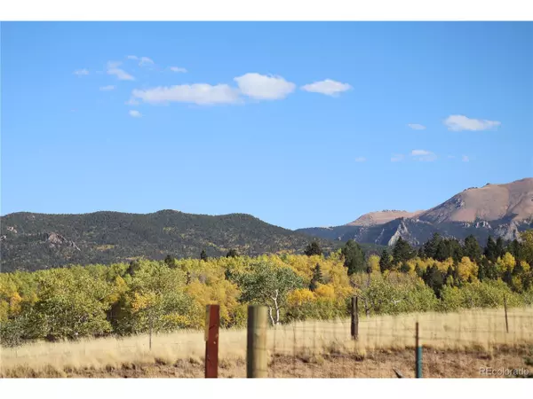 157 Little John Ln, Divide, CO 80814