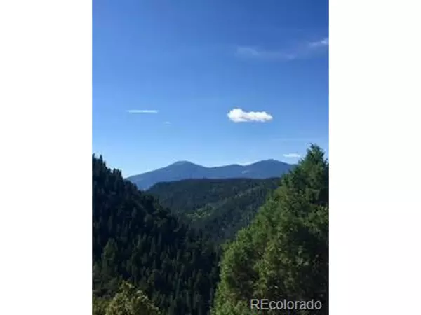 Idaho Springs, CO 80452,1 Overlooked Way