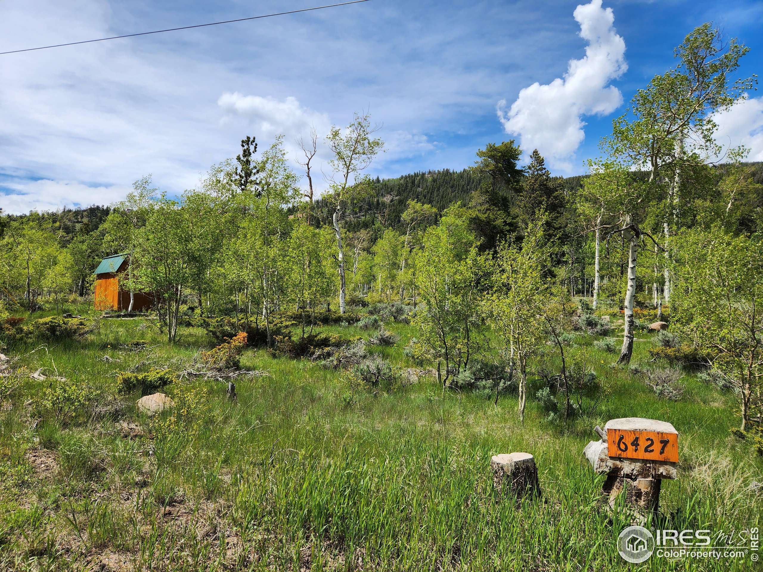 Red Feather Lakes, CO 80545,6427 Ottawa Way