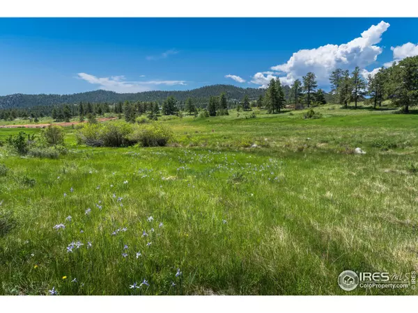 0 Red Feather Lakes Rd #13, Livermore, CO 80536