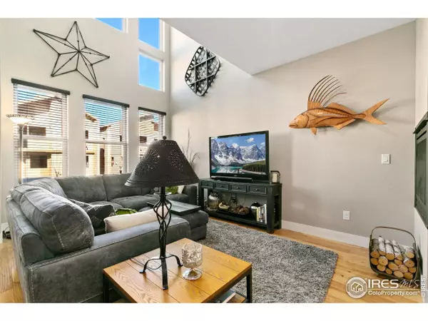 Fort Collins, CO 80524,381 Osiander St