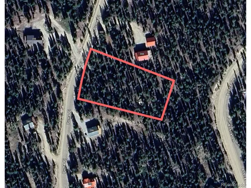 322 Puma Pl, Fairplay, CO 80440