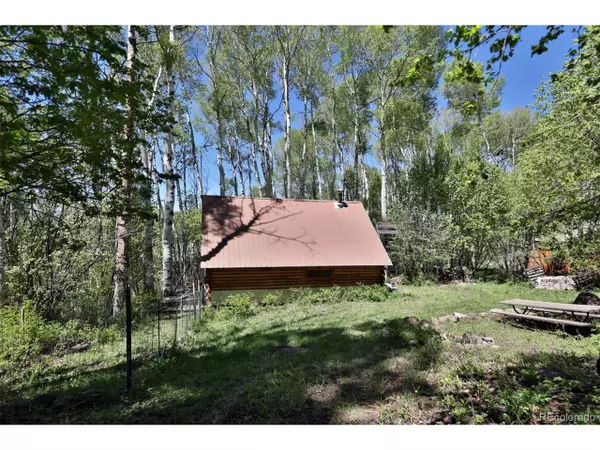 67792 Ferndell Rd, Collbran, CO 81624