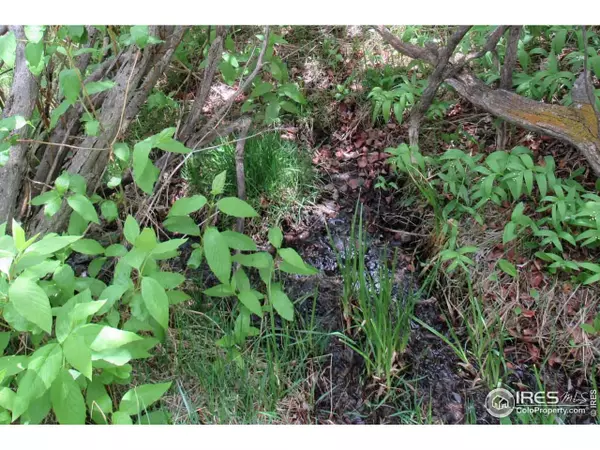 Livermore, CO 80536,N County Road 89