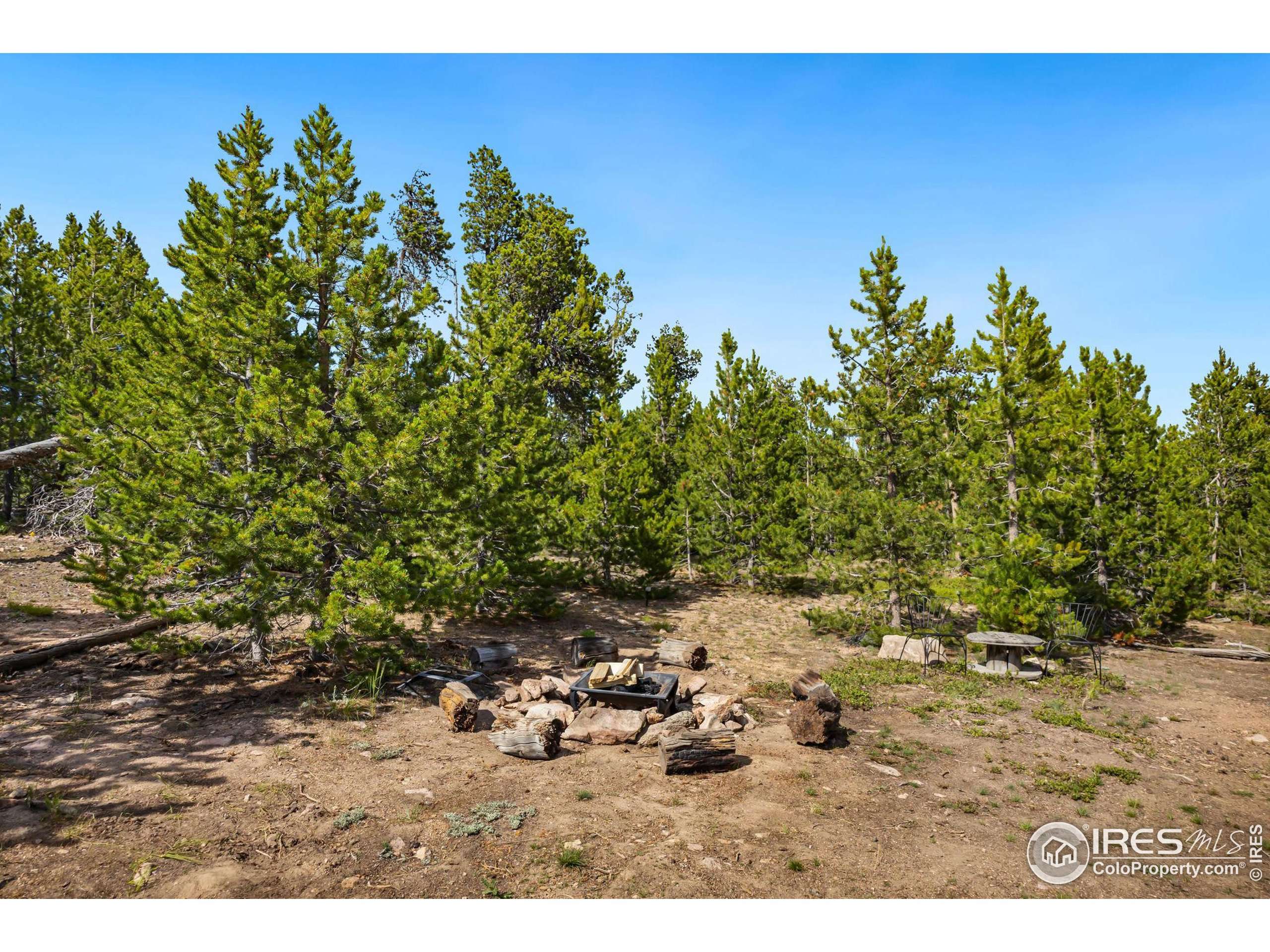 Red Feather Lakes, CO 80545,153 Catamount Ct