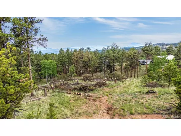 77 Monarch Dr, Florissant, CO 80816