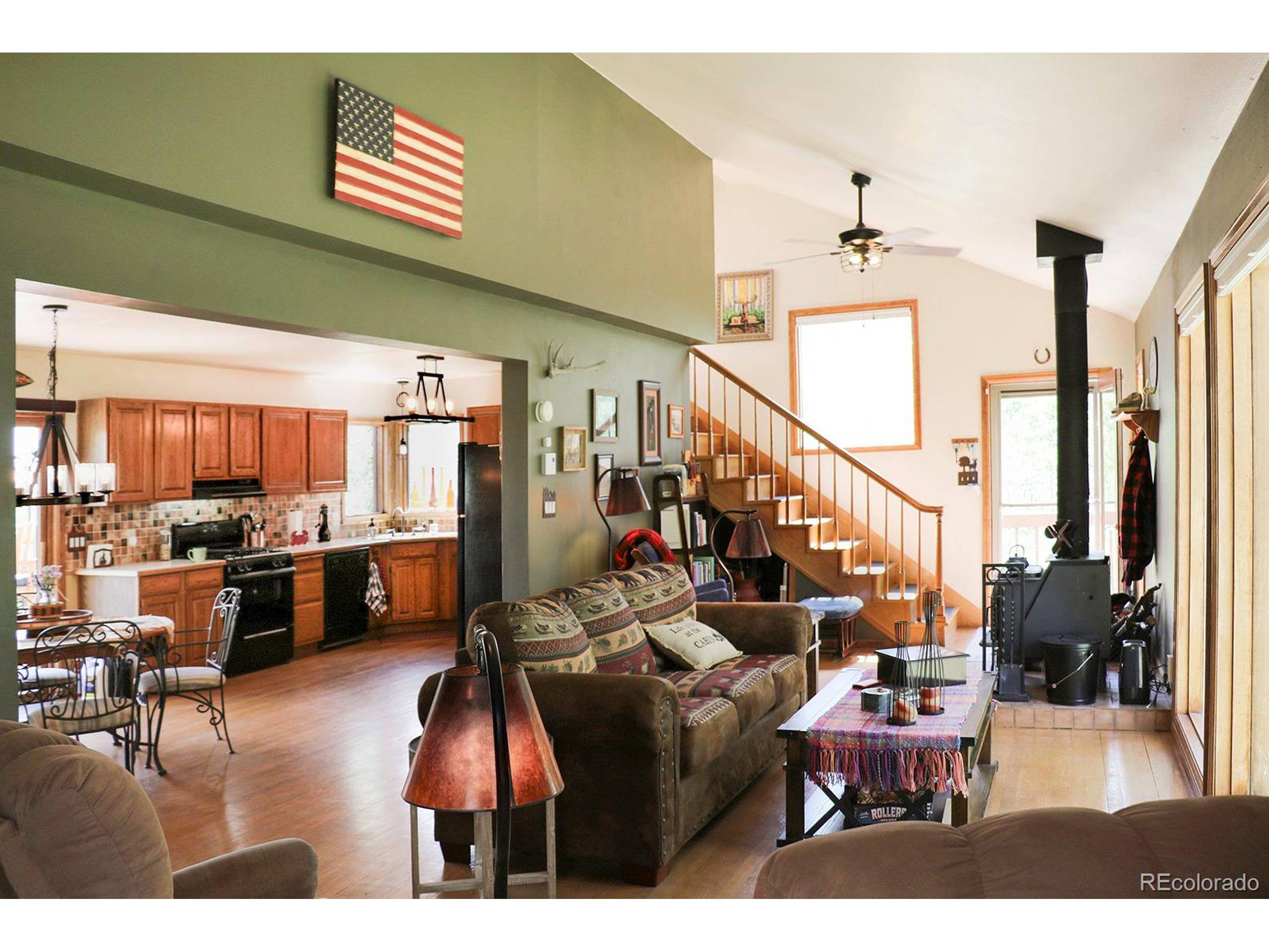 Fairplay, CO 80440,229 Sheep Ridge Rd