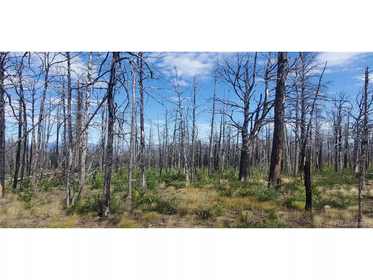 Fort Garland, CO 81133,2298 Sigler Dr