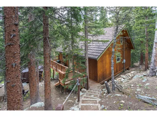 591 Brook Dr, Idaho Springs, CO 80452