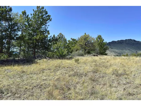 Guffey, CO 80820,87 Wagon Wheel Cir