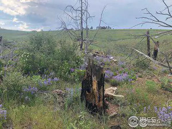 Livermore, CO 80536,1360 Meadow Mountain Dr