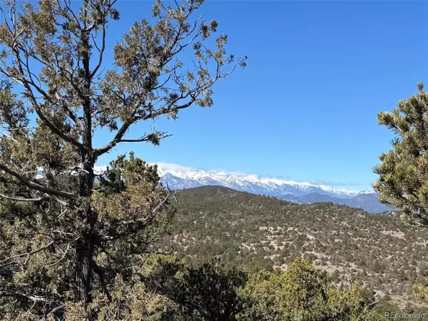 450 Cottonwood Dr, Cotopaxi, CO 81223