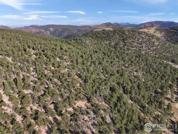Ward, CO 80481,Indiana Gulch Rd