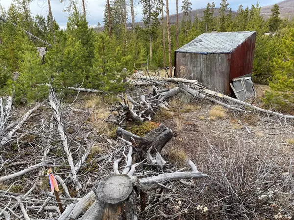 Grand Lake, CO 80447,55 County Road 4624