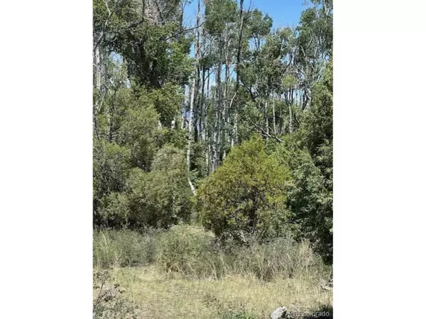 Mosca, CO 81146,231 Mill Run Road