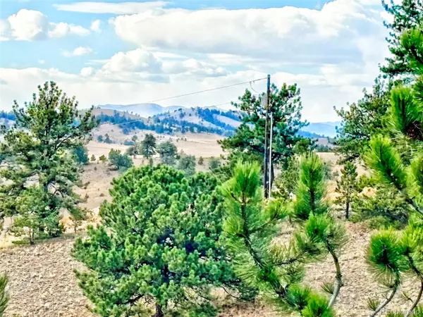 Hartsel, CO 80449,115 Black Canyon Ct