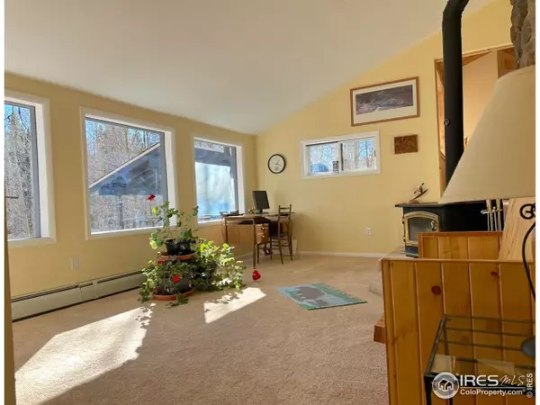 Black Hawk, CO 80422,234 Aspen Cir