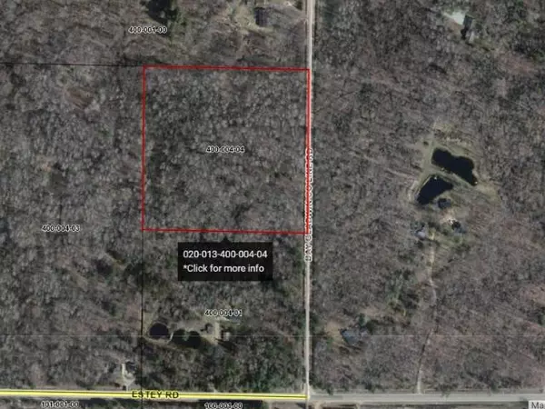 0 Bay Gladwin Line Road, Rhodes, MI 48652