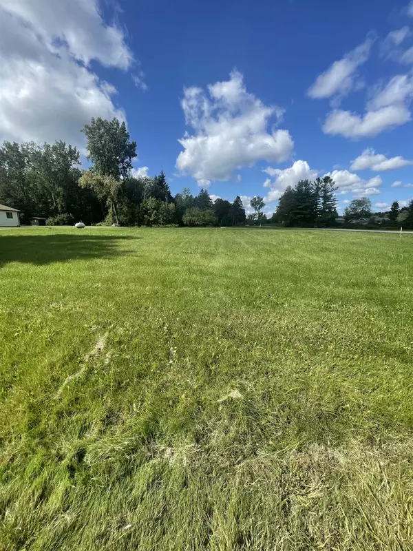 VL Hotchkiss Road, Freeland, MI 48623