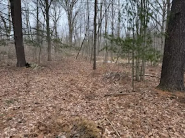 Sanford, MI 48657,VL N Anna Lane