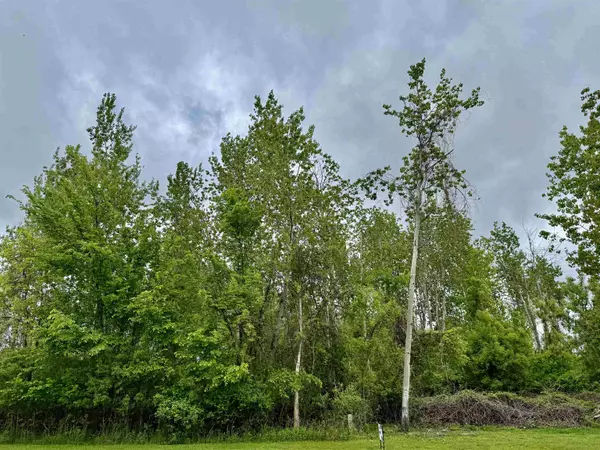 VL W Ashdale Street, Au Gres, MI 48703