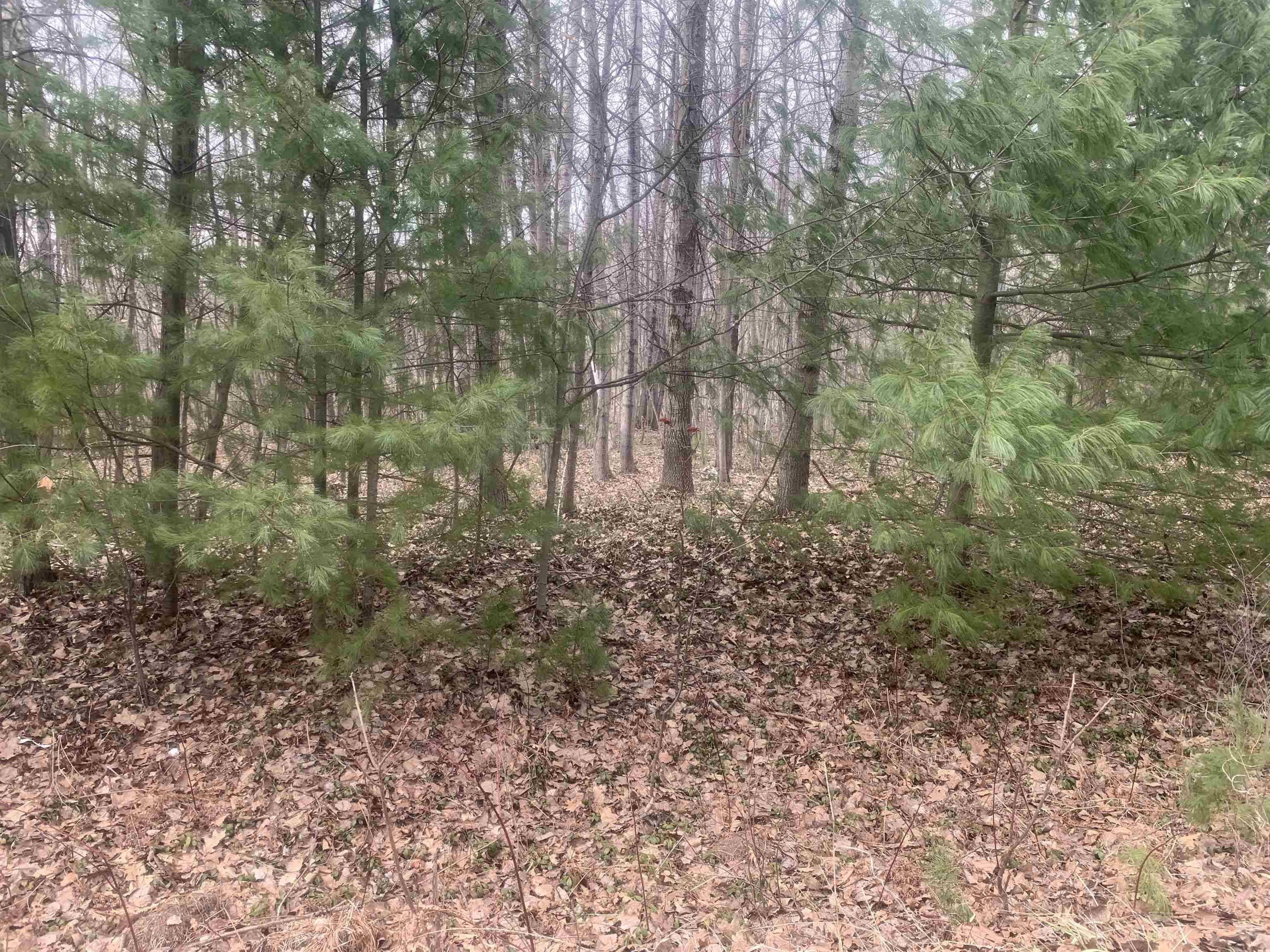 xxx Rivers Terrace Drive, Gladwin, MI 48624