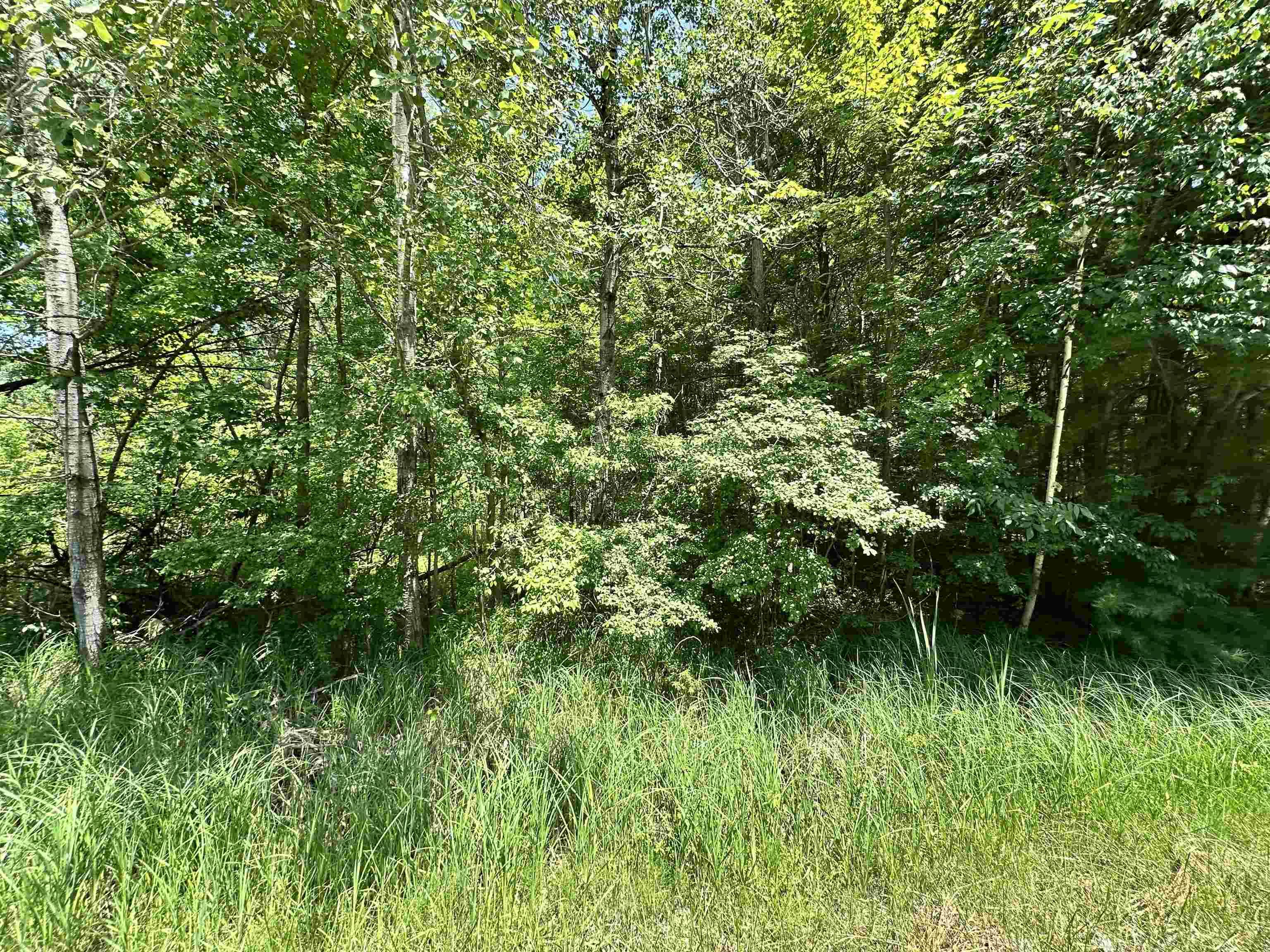 VL Pinconning Road, Beaverton, MI 48612