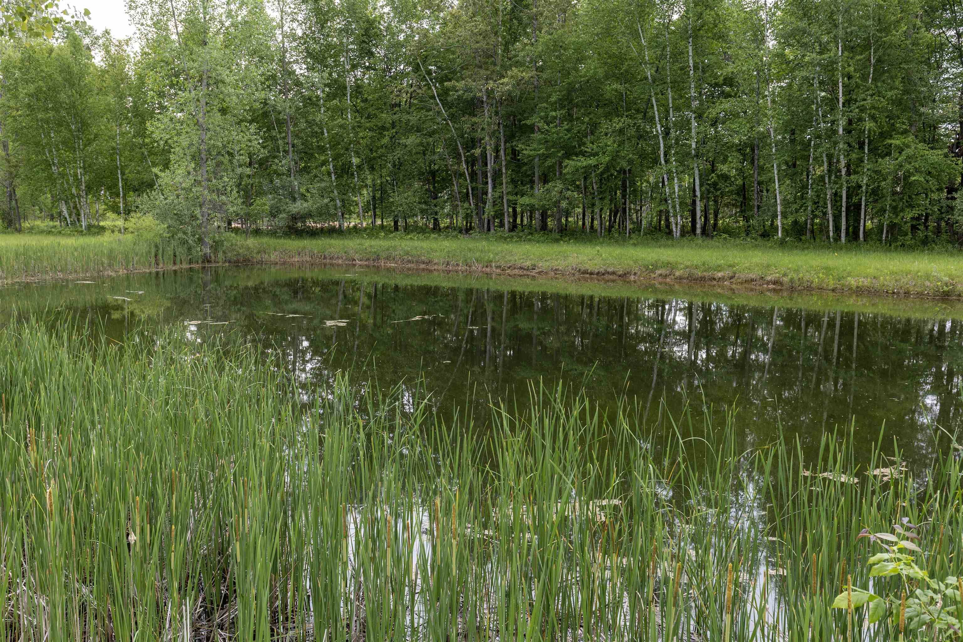 789 W Highwood Road, Gladwin, MI 48624