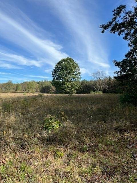 10754 W Dunlop Road, Lake, MI 48632