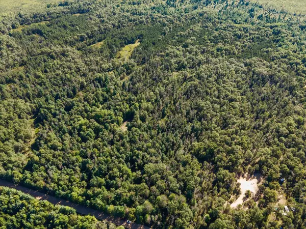 VL Fireline Trail, Alger, MI 48610