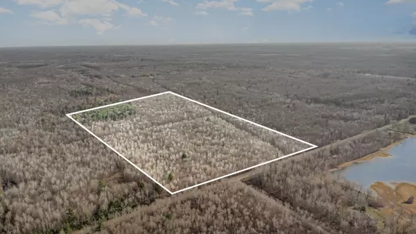 S County Line Road, Shepherd, MI 48883