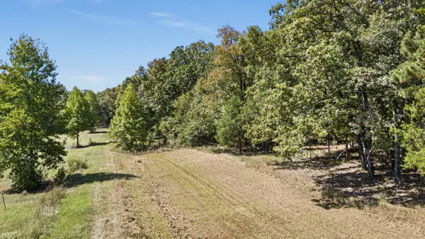 8.15 acres in Danville, AR, Danville, AR 72833