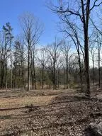 00000 Crow Mountain Drive, Atkins, AR 72823