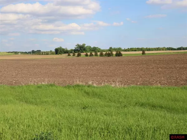 Le Sueur, MN 56058,29967 Prairie Sage Lane