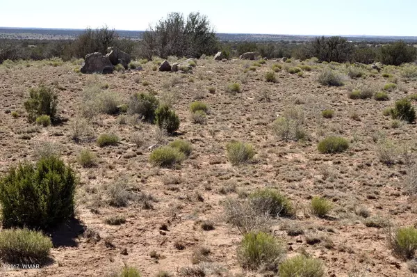 Concho, AZ 85924,CR 9003 & Cr 9081